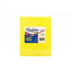 CUADERNO TRIUNFANTE X 50...