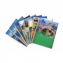 CUADERNO POTOSI X 80 HJS...