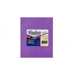 CUADERNO TRIUNFANTE X 50...