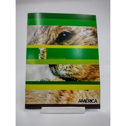 CUADERNO AMERICA X 48 HJS...