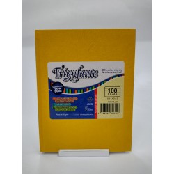 CUADERNO TRIUNFANTE X 100...