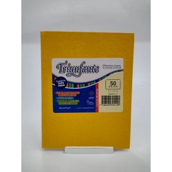 CUADERNO TRIUNFANTE X 50...