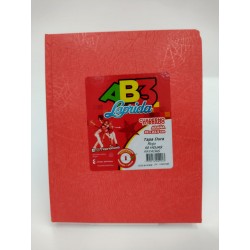 CUADERNO LAP AB3 ARAÂ¥A...