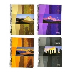 CUADERNO AMERICA X 80 HJS...