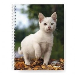 CUADERNO AMERI DE GATITOS...