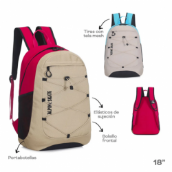 MOCHILA URBANA ALPINE SKATE...