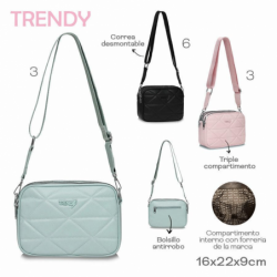 CARTERA TRENDY 16x22x9CM...