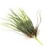 PLANTA DECO 45CM ART 201182 IAÑ
