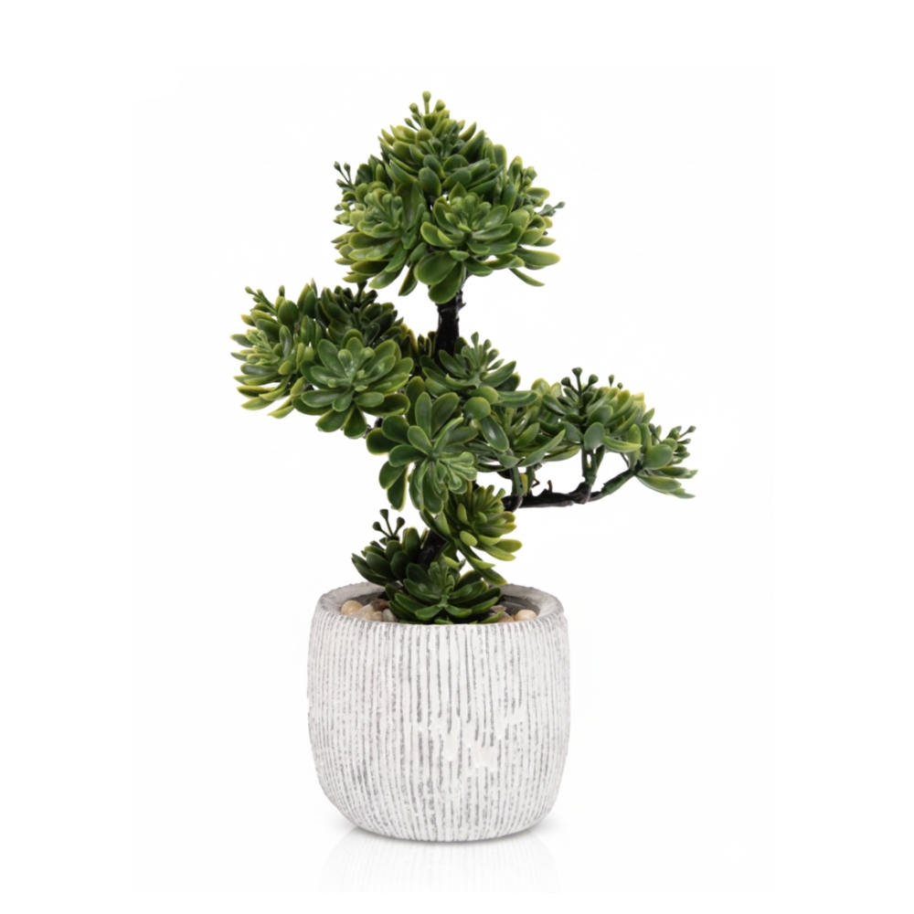 PLANTA SUCULENTA CON MACETA 27CM ART JM-25051 EAO