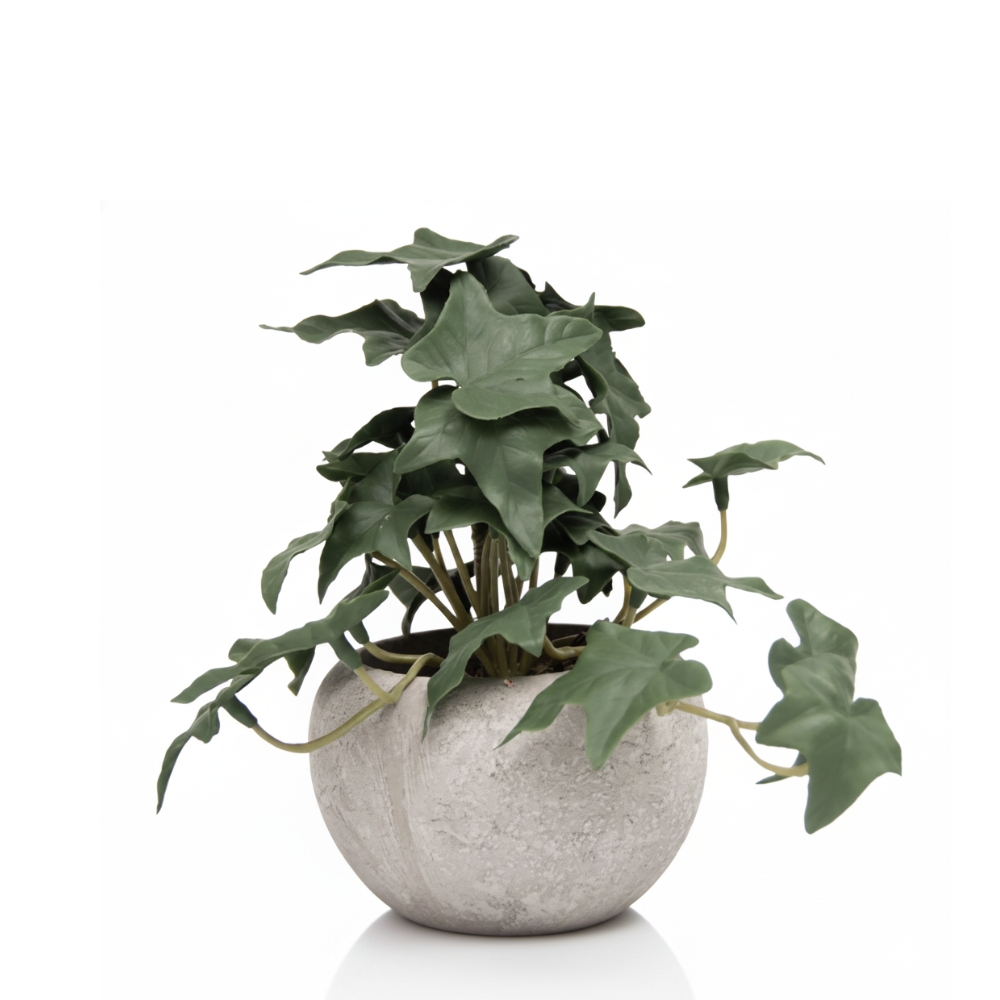 PLANTA FILODRENDO CON MACETA 6CM ART JM-252609 EAO