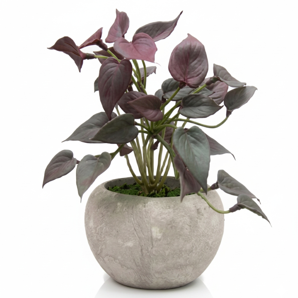 PLANTA HOJAS CON MACETA 6CM ART JM-252611 EAO