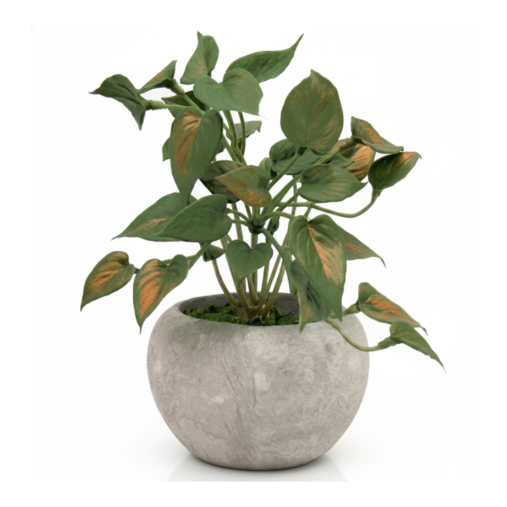 PLANTA HOJAS CON MACETA 6CM ART JM-252610 EAO