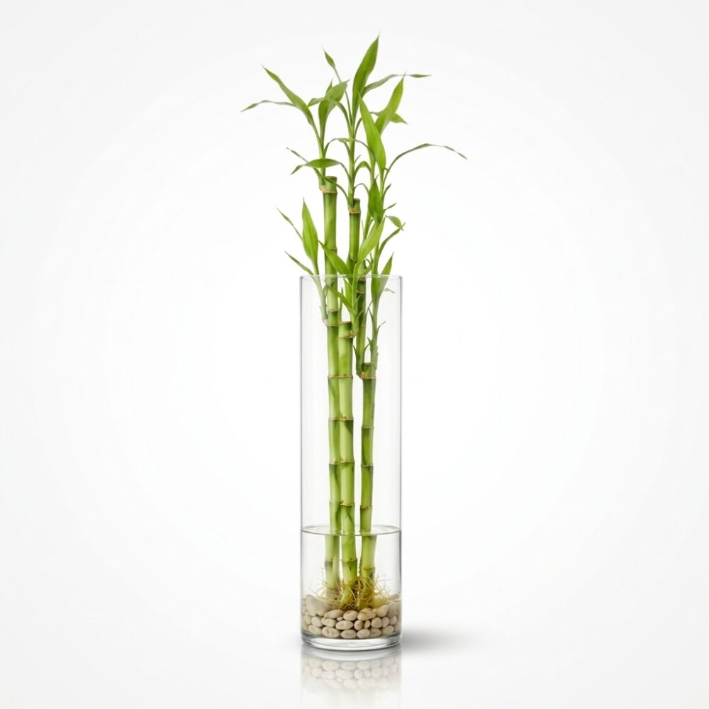 FLORERO BAMBOO 40CM ART 420031|RYG031/RA IAO