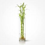 FLORERO BAMBOO 40CM ART 420031|RYG031/RA IAO