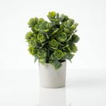 MACETA C/SUCULENTA 8x22CM ART 810834|EA41-01-18 IAO