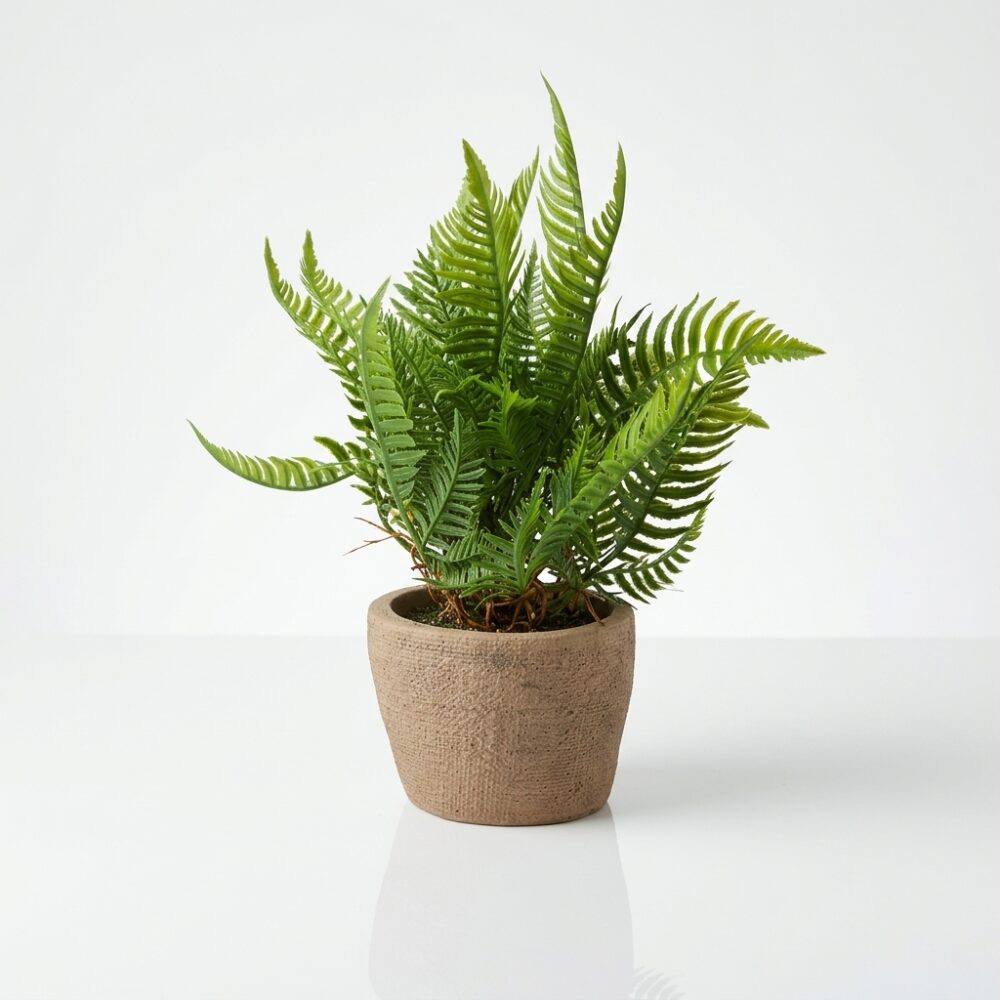 MACETA BARRO C/PLANTA SURTIDA 8CM ART 810848|EA41-04-01 IAO